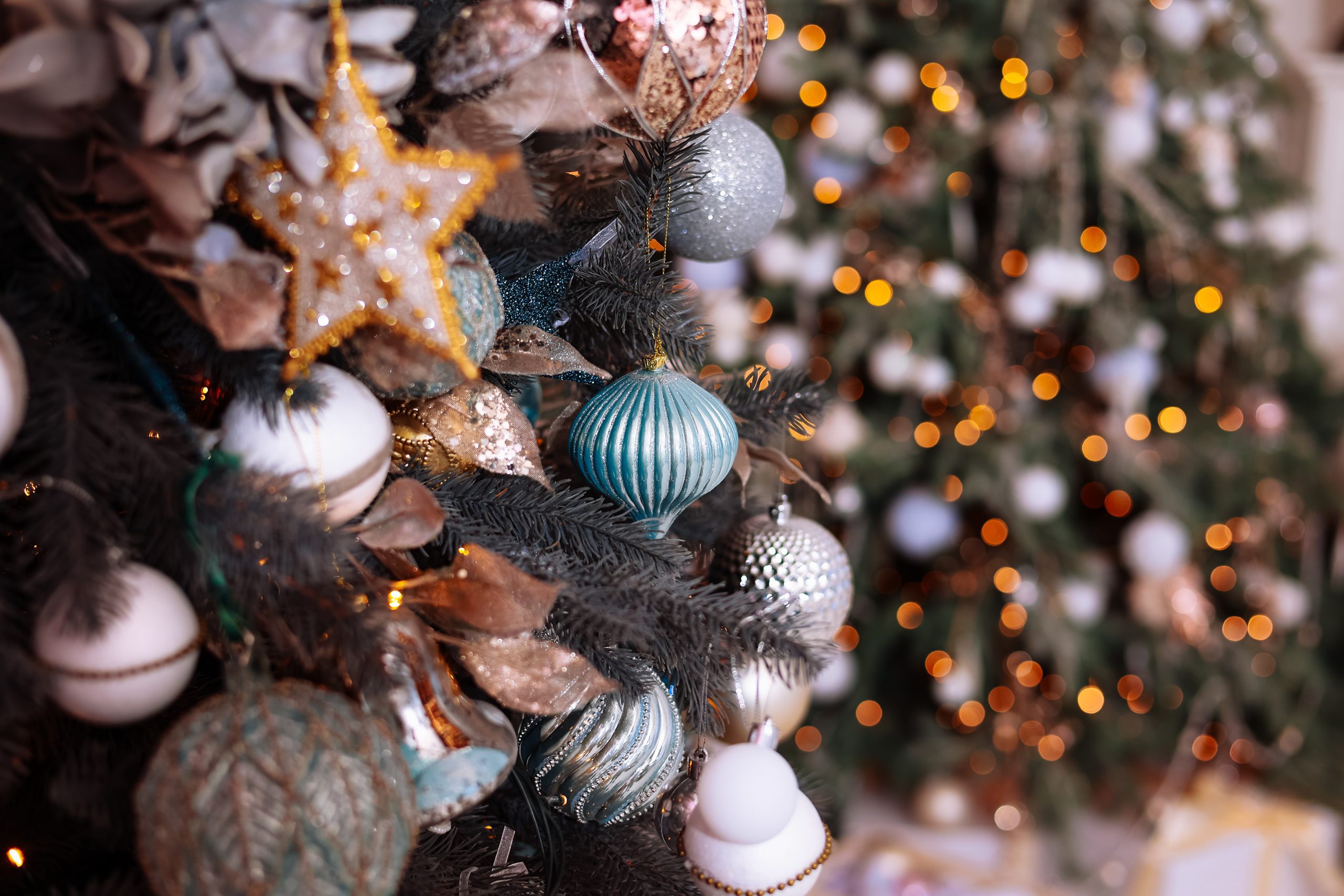 Christmas Hotel Packages at Dart Marina