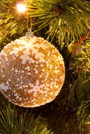 Browse Christmas Vacation Package Itinerary